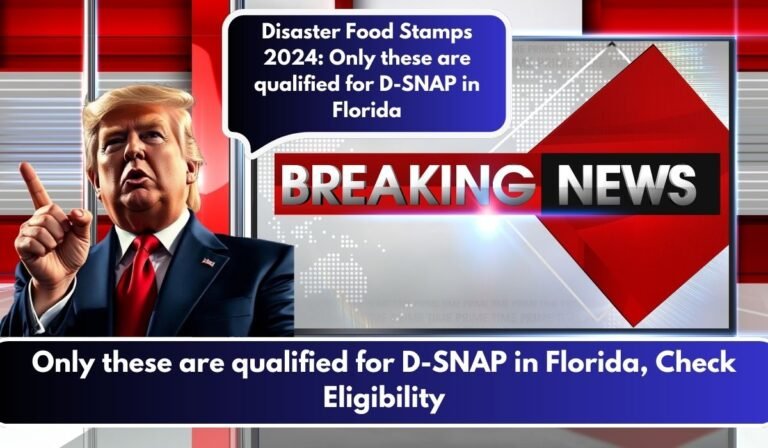 Only these are qualified for D-SNAP in Florida, Check Eligibility